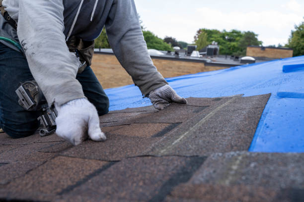 Best Shingle Roofing Installation  in Coralville, IA