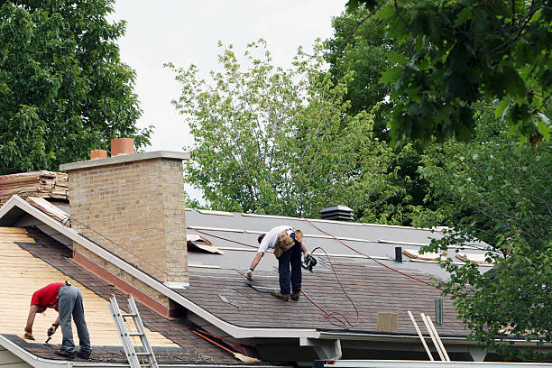 Best Roof Gutter Cleaning  in Coralville, IA