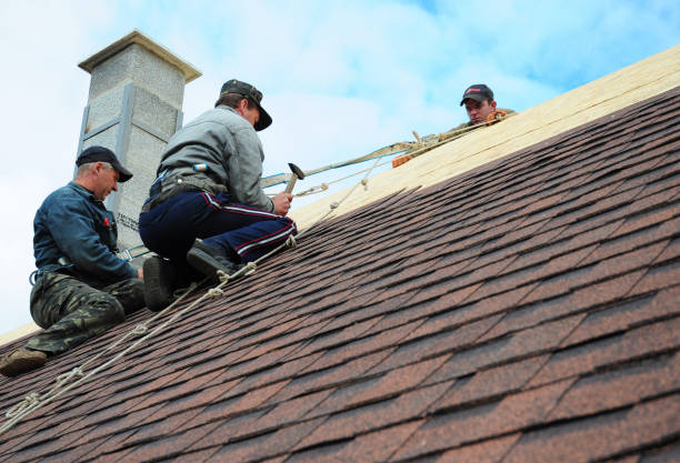 Best Local Roofing Companies  in Coralville, IA
