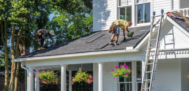 Best Metal Roofing Contractor  in Coralville, IA